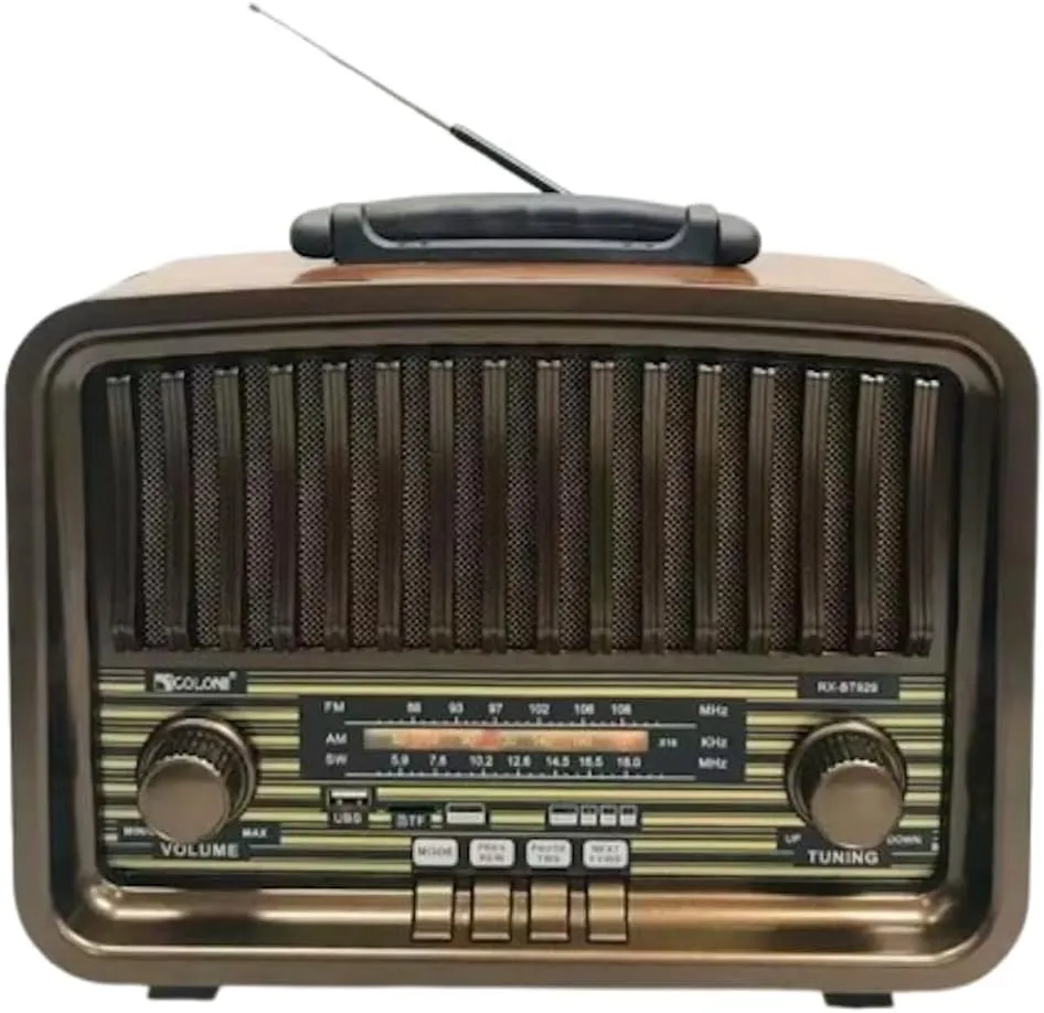رادیو طرح چوب گولون RX-BT929 1